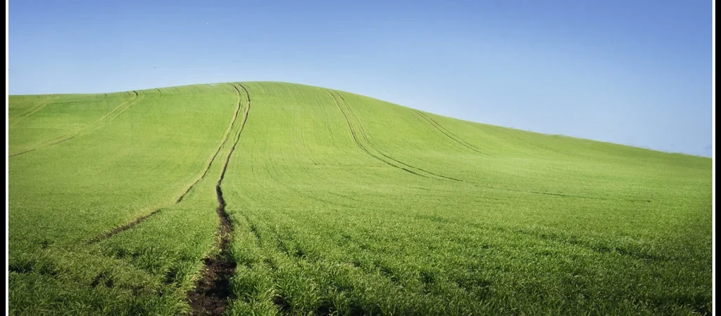 Should You Invest in Potash and Agriculture Stocks in 2026?