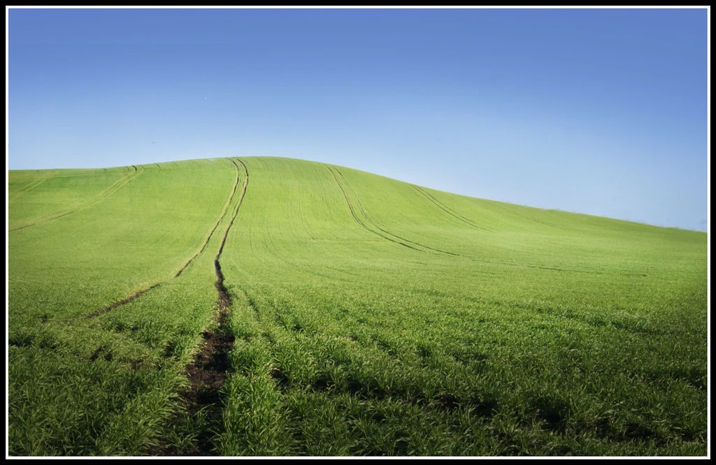 Should You Invest in Potash and Agriculture Stocks in 2026?