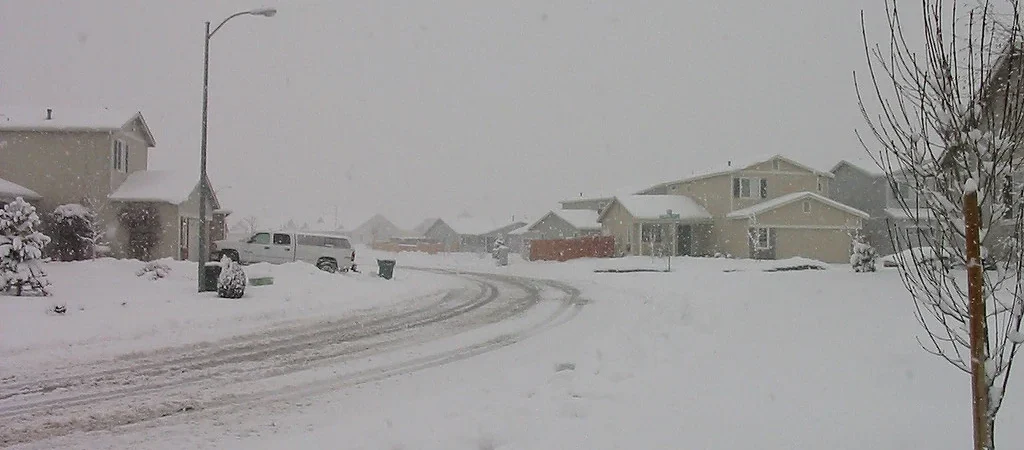 Wind Advisory Preparation: Protect Your Home and Budget Before the Storm