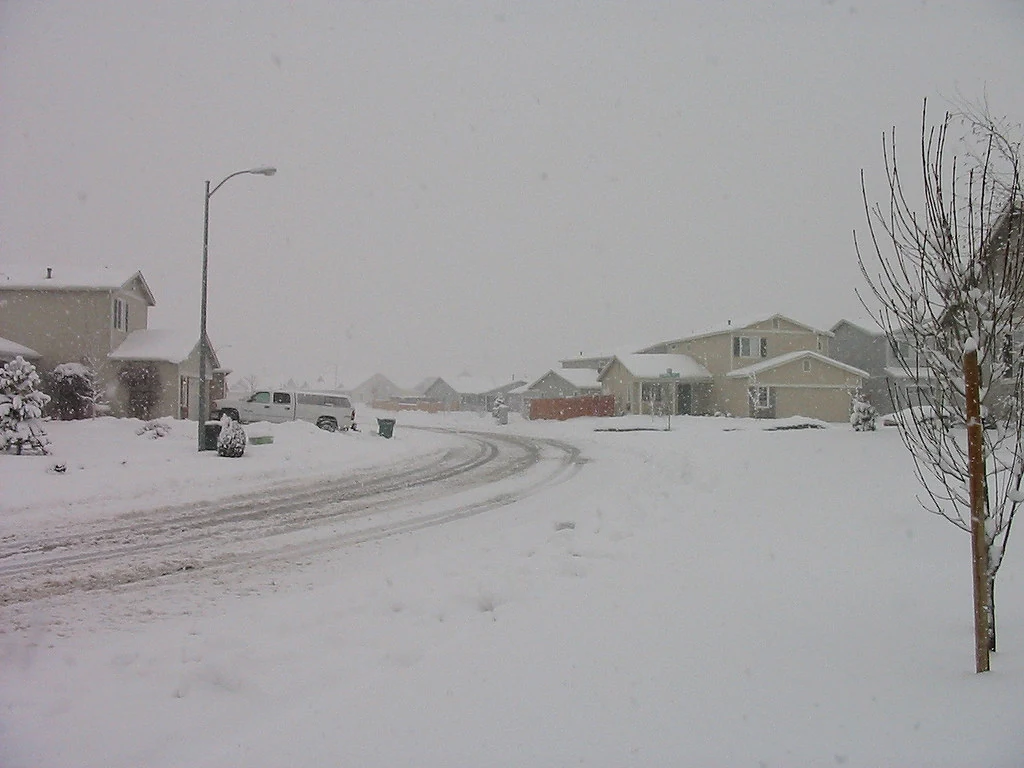Wind Advisory Preparation: Protect Your Home and Budget Before the Storm